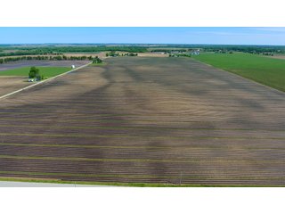 Property photo 9 - LAND AUCTION - 492+/- ACRES OFFERED IN 7 TRACTS IN SULLIVAN & KNOX COUNTIES, INDIANA